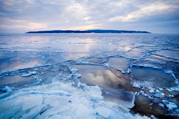 Glace transparente de l Arctique froid