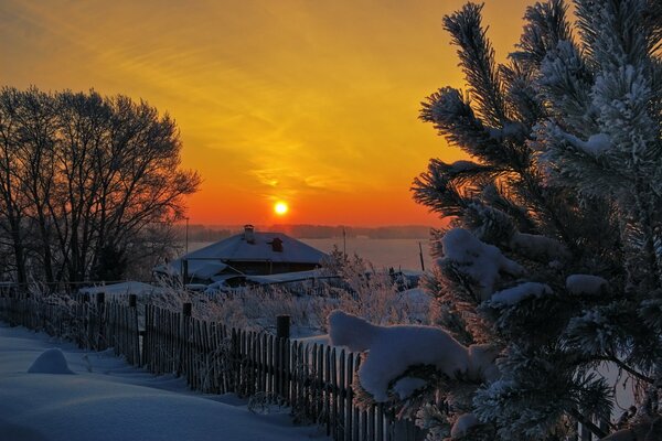 Bellissimo tramonto tra alberi e case