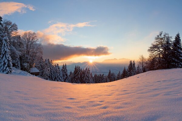 Frost und Sonne, Wald und Himmel