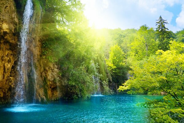 The sun illuminates the waterfall and the green forest