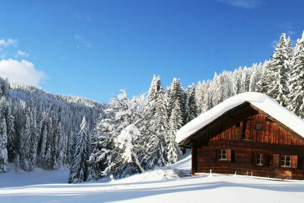 Snow-covered wooden house near the forest