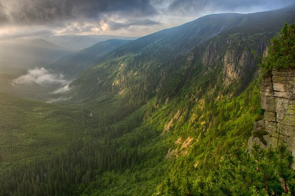 Fog in the valley of the Green Mountains