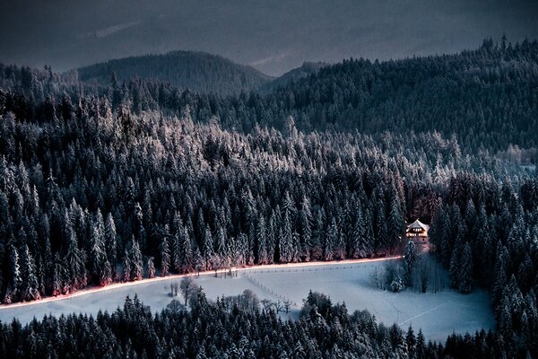 Waldstraße in der Abenddämmerung im Winter