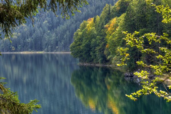 Trees are reflected in the water on the lake