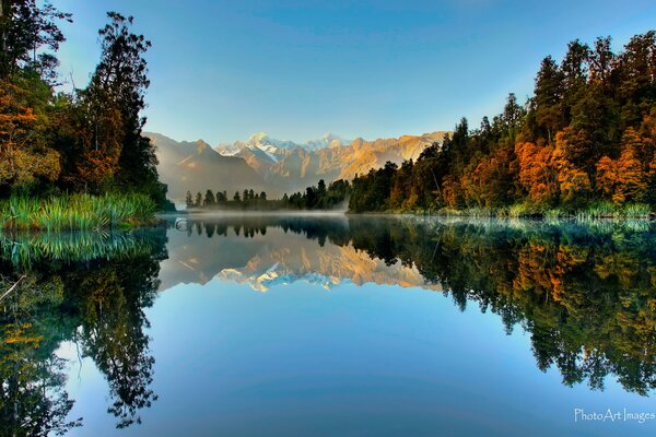 Nature of New Zealand