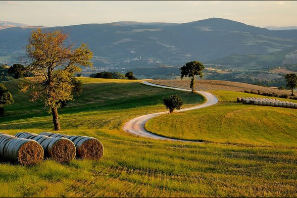 Campo italiano por la noche en la carretera