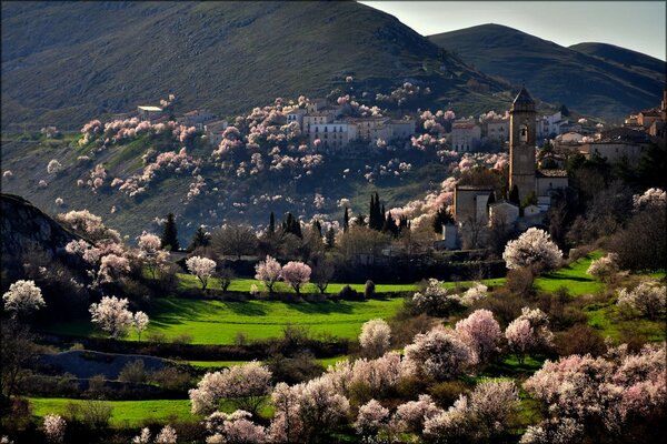 Valle de primavera con vistas a la montaña