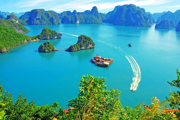 Wanderboot in der Halong-Bucht mit heller Vegetation und blauem Himmel