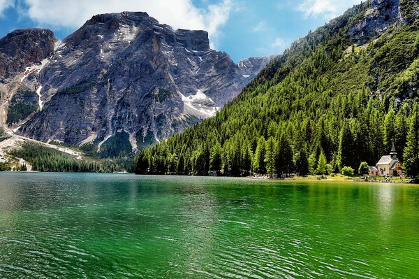 Forêt près du réservoir près des sommets des montagnes