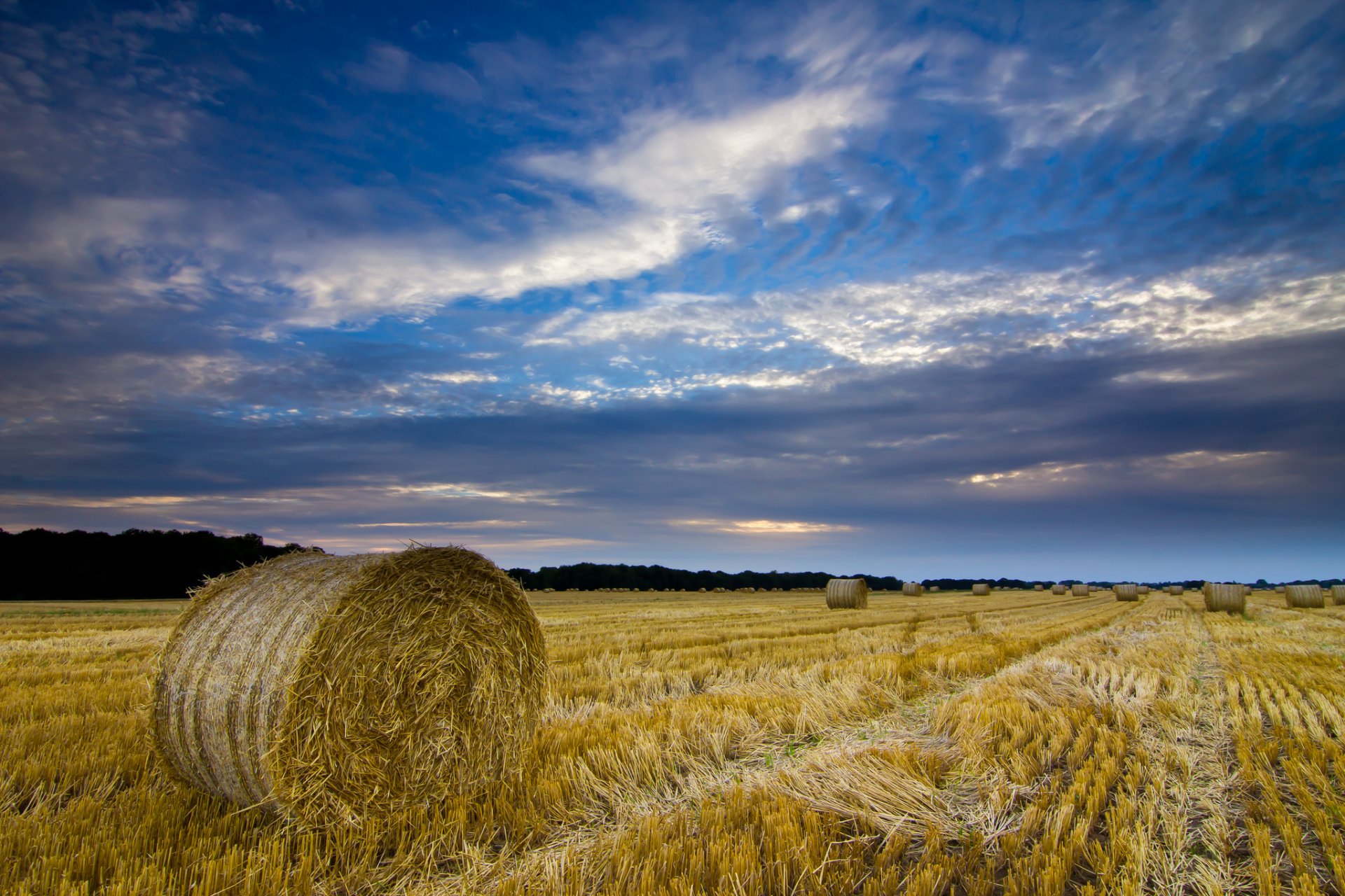 regno unito inghilterra norfolk contea campo paglia fieno balle raccolto sera blu cielo nuvole nuvole