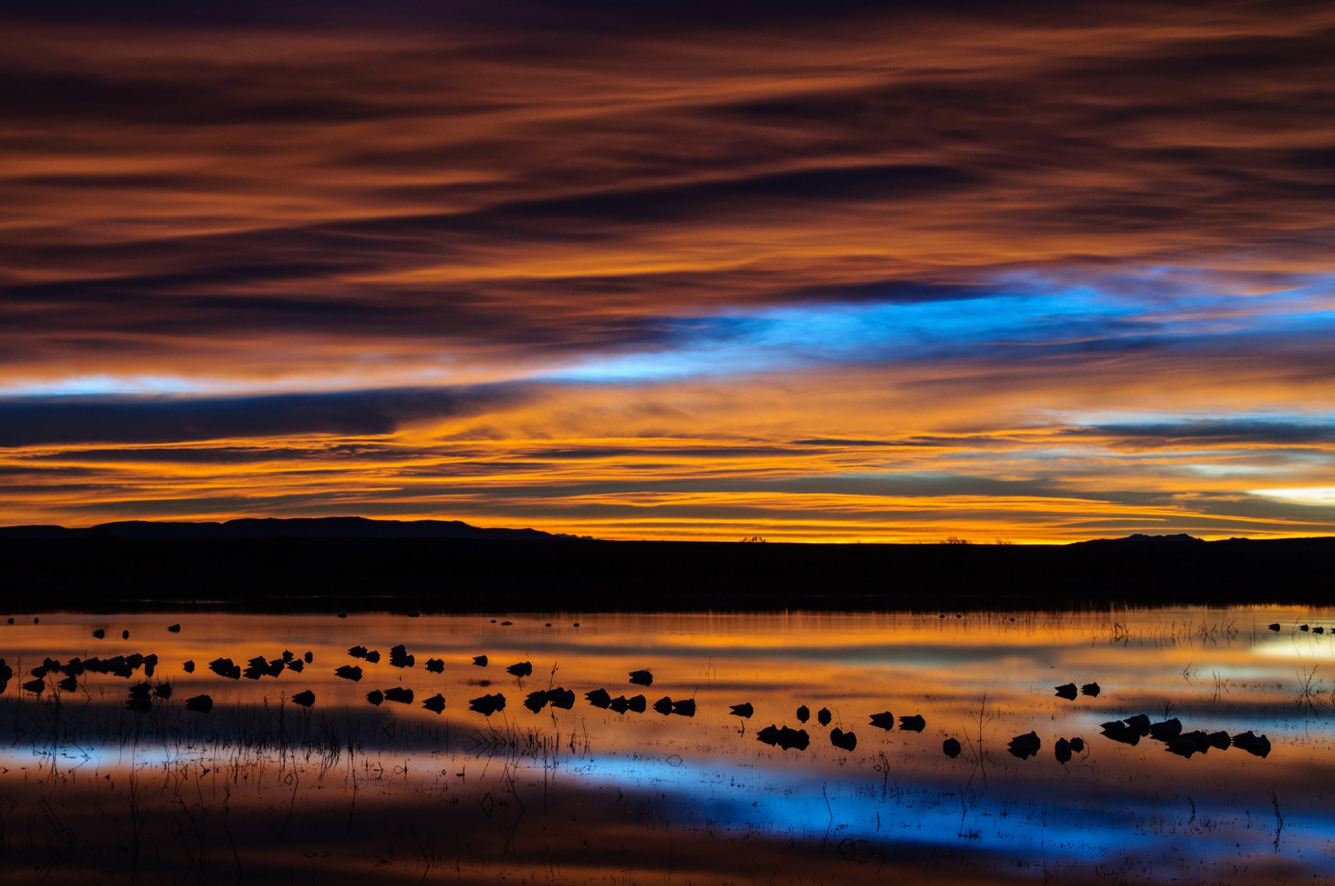 stati uniti nuovo messico riserva naturale lago riflessione uccelli mattina alba cielo nuvole