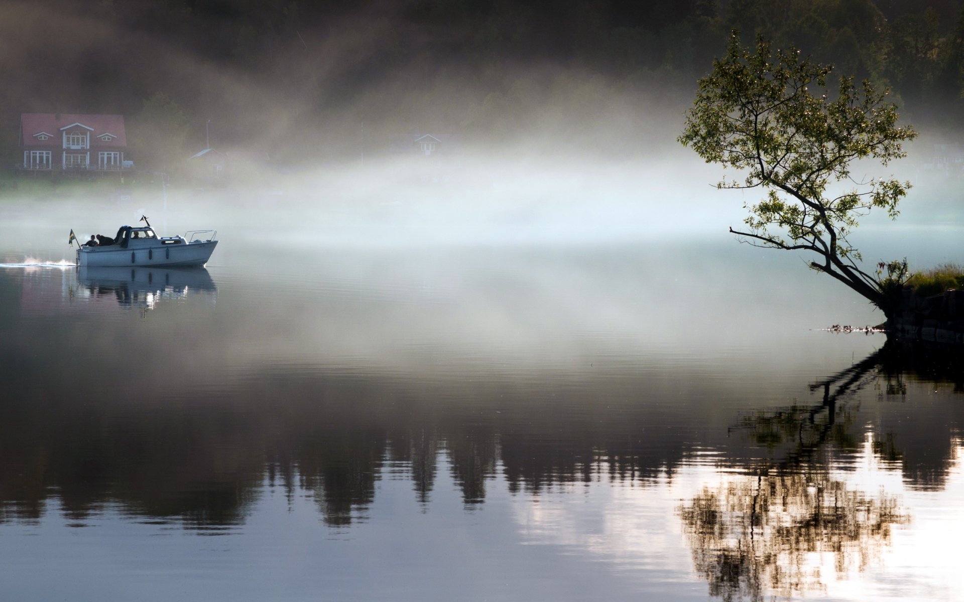 matin lac bateau arbre brouillard paysage