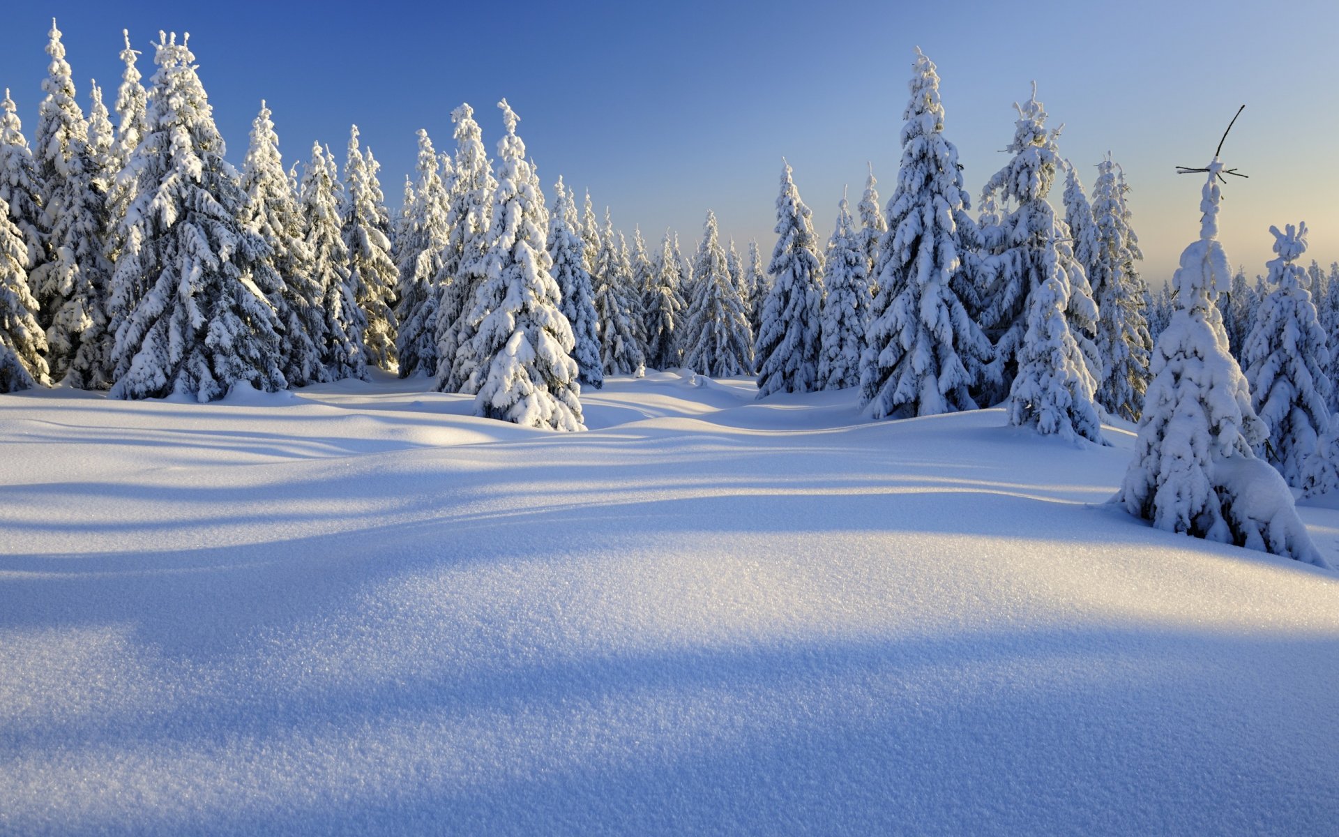 natur landschaft schnee bäume winter berge