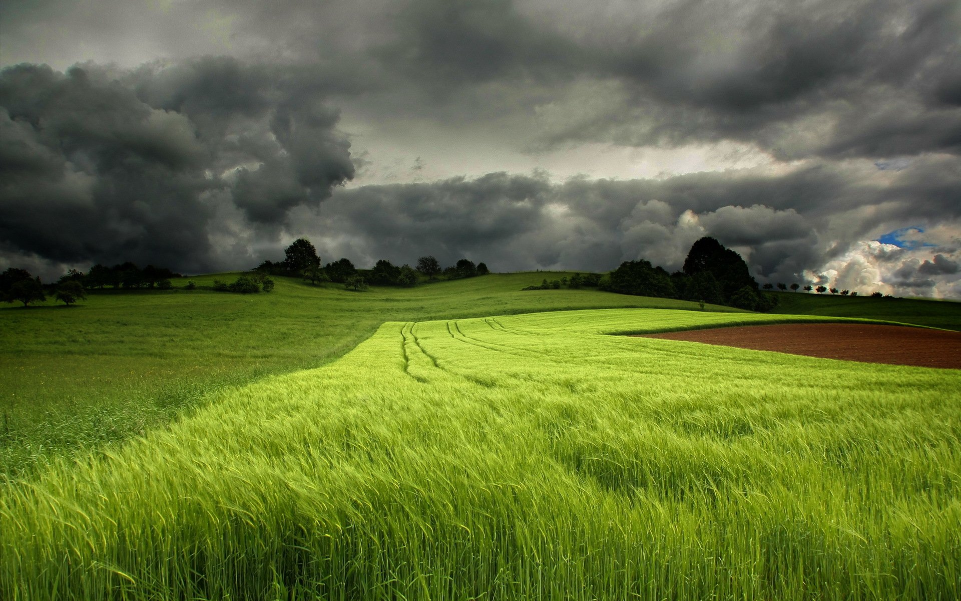 feld himmel landschaft sommer