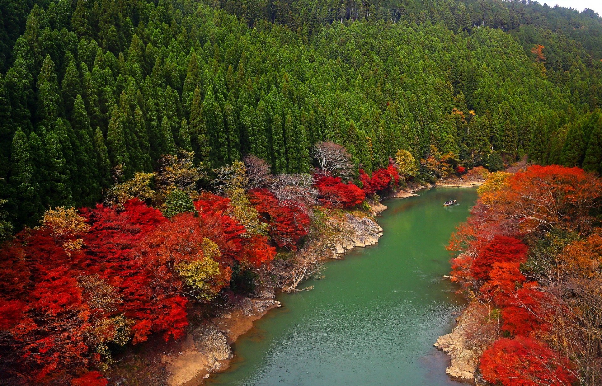 арасияма kyoto япония ой river река лес деревья