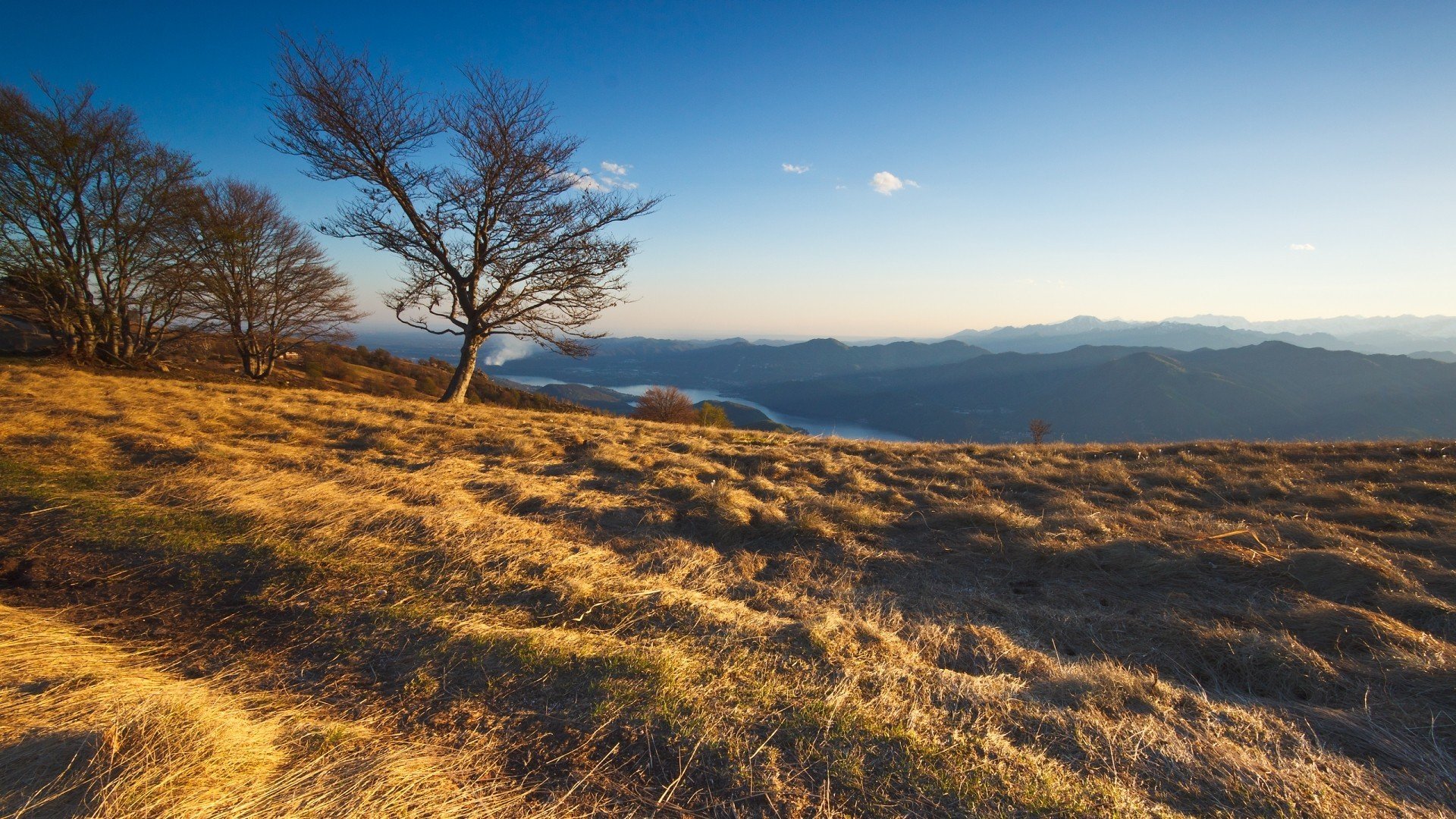 natura drzewa góry trawa krajobraz