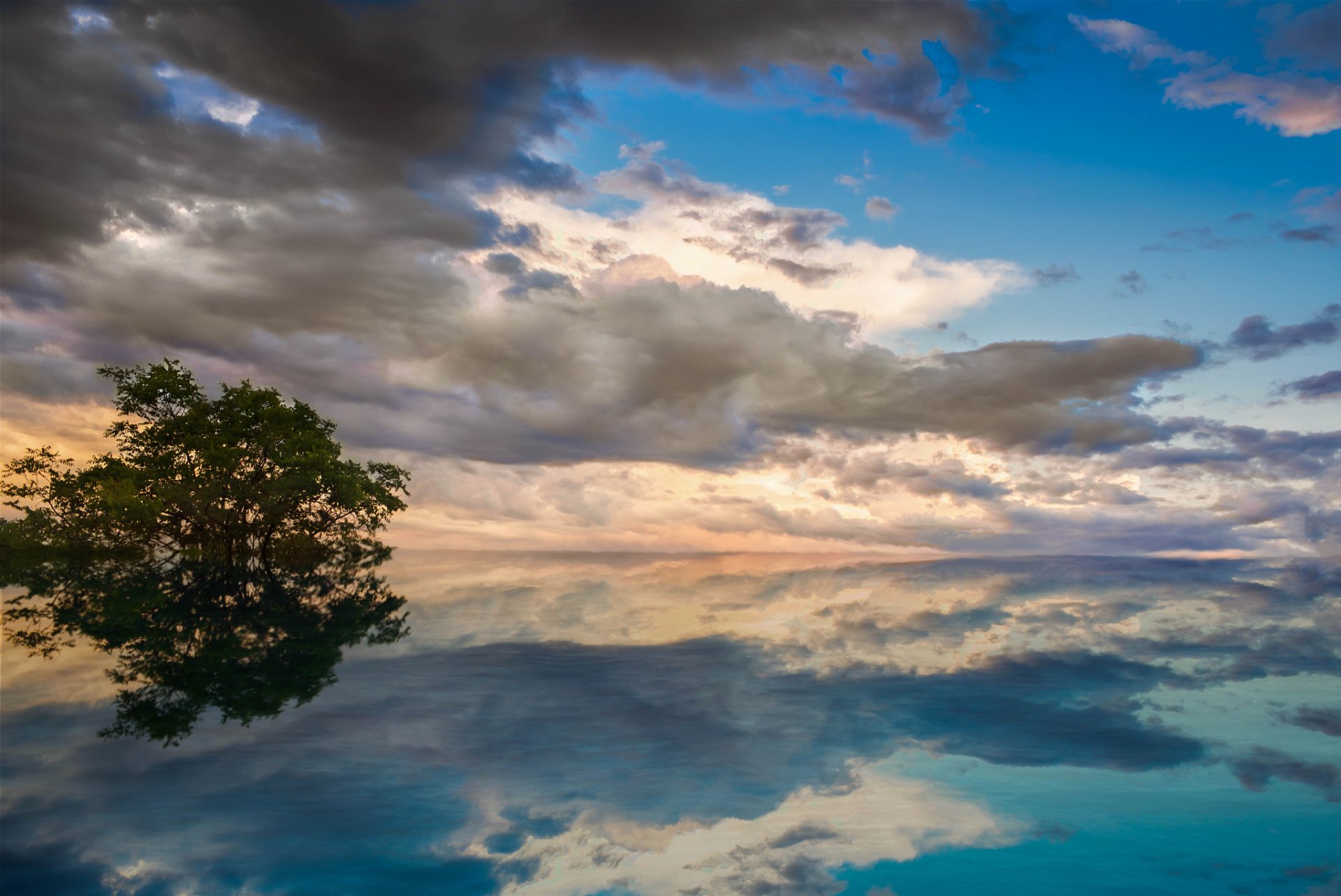 lago albero acqua superficie liscia turchese blu cielo nuvole riflessione