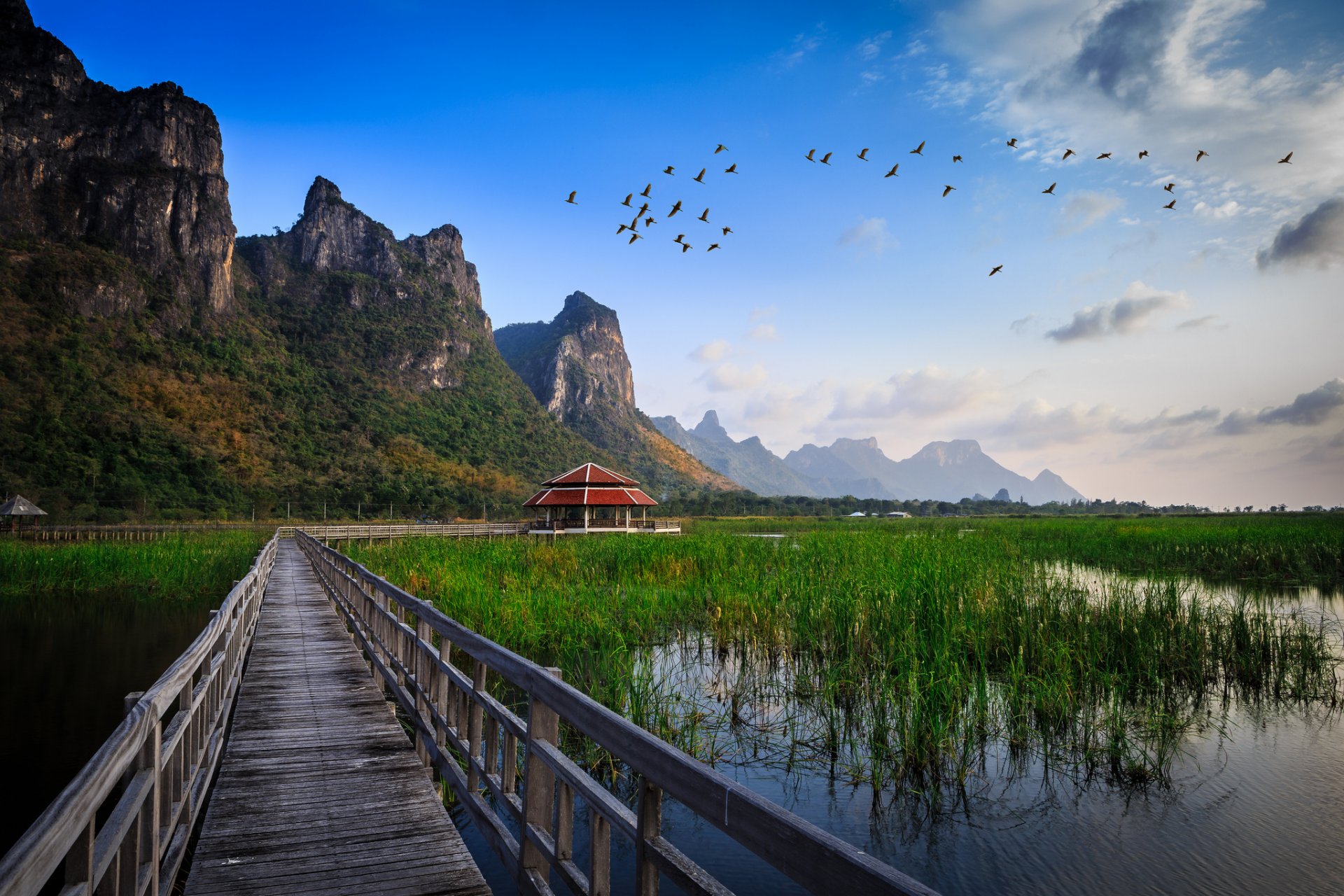 nationalpark thailand brücke wasser see gras hütte gebäude berge vögel