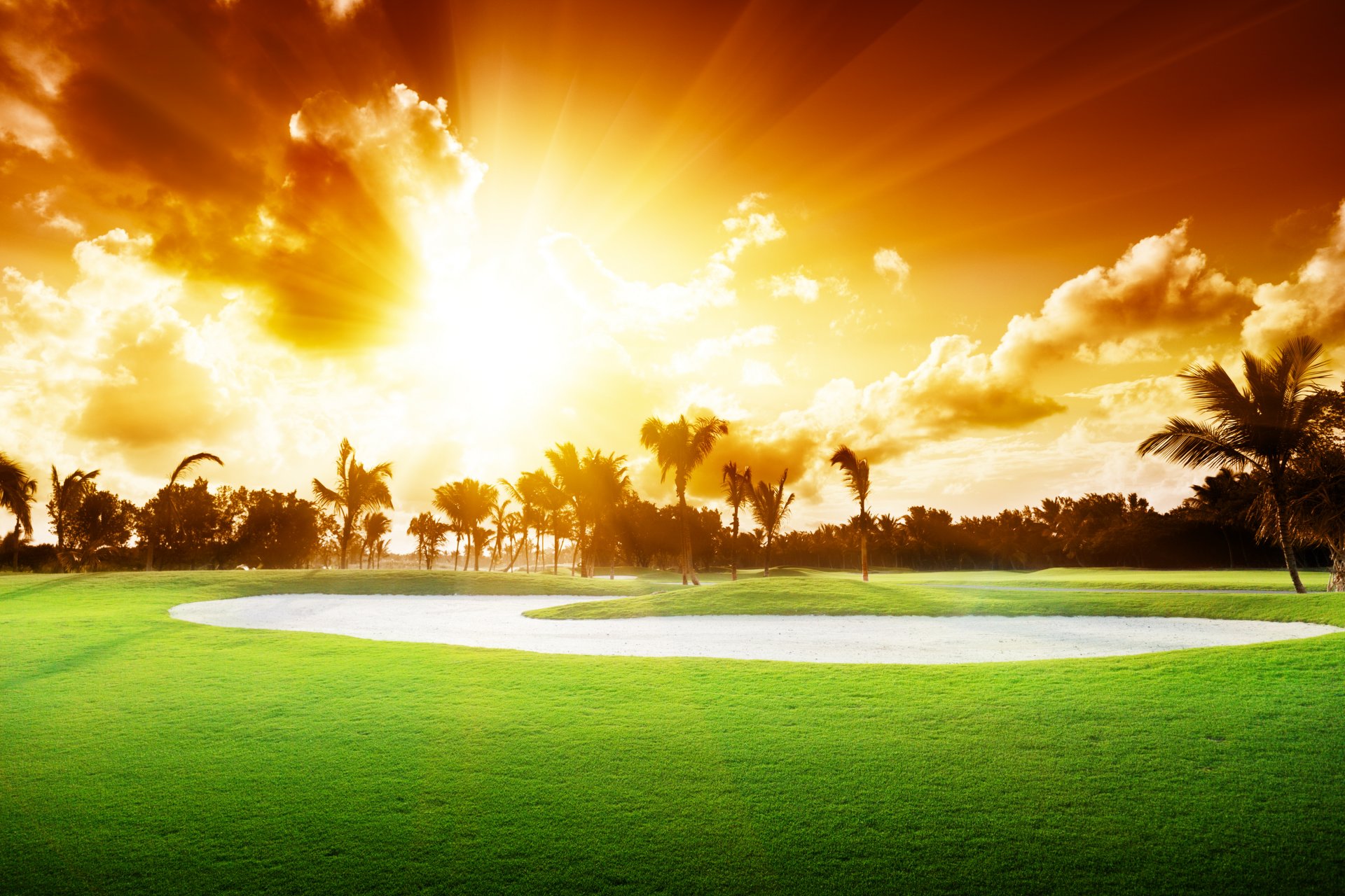 sonnenuntergang schön natur landschaft golfplatz bäume gras palmen himmel wolken golf spielen