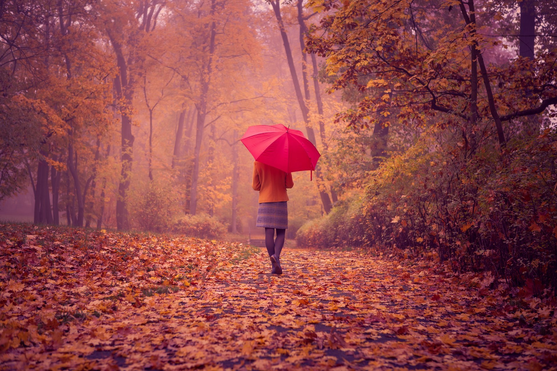 paesaggio ragazza schiena ombrello rosso autunno fogliame strada