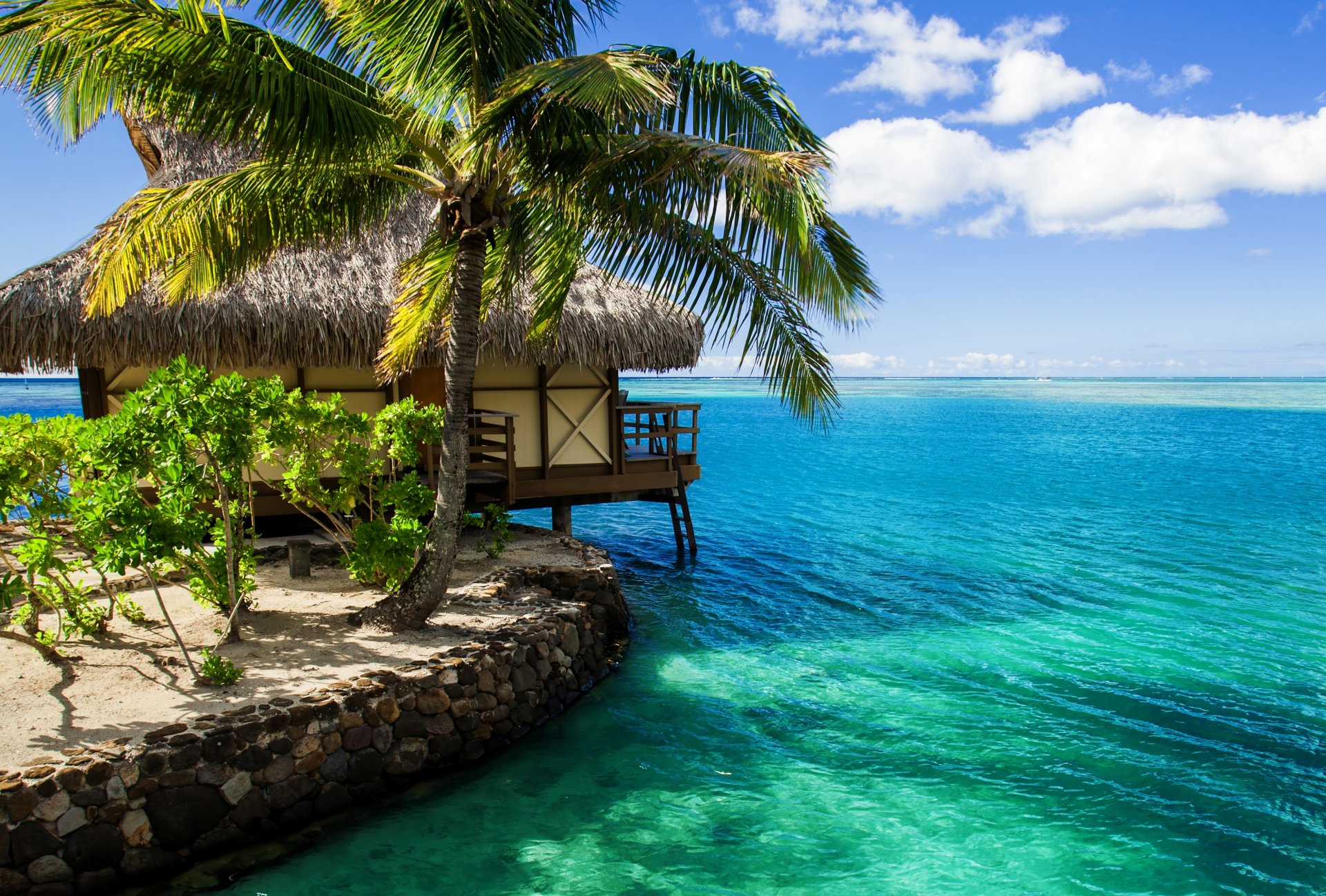 maldives house bungalow water palm tree ocean sky clouds nature