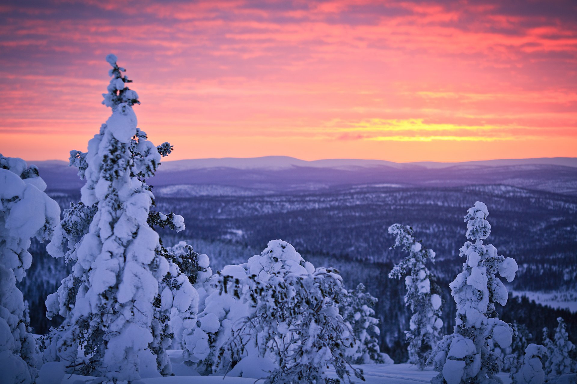 finlande laponie hiver janvier neige forêt coucher de soleil ciel sampsa wesslin rhotographie