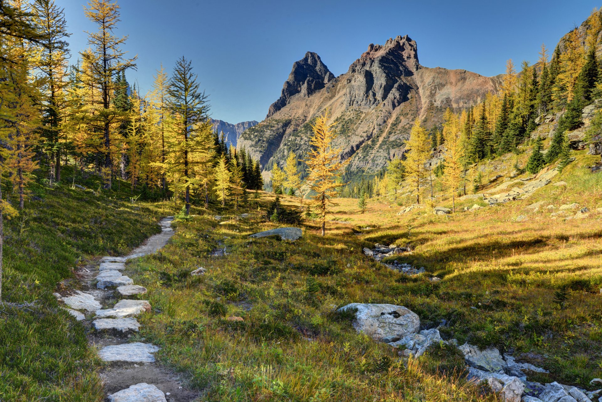 park narodowy yoho kanada góry drzewa ścieżka las