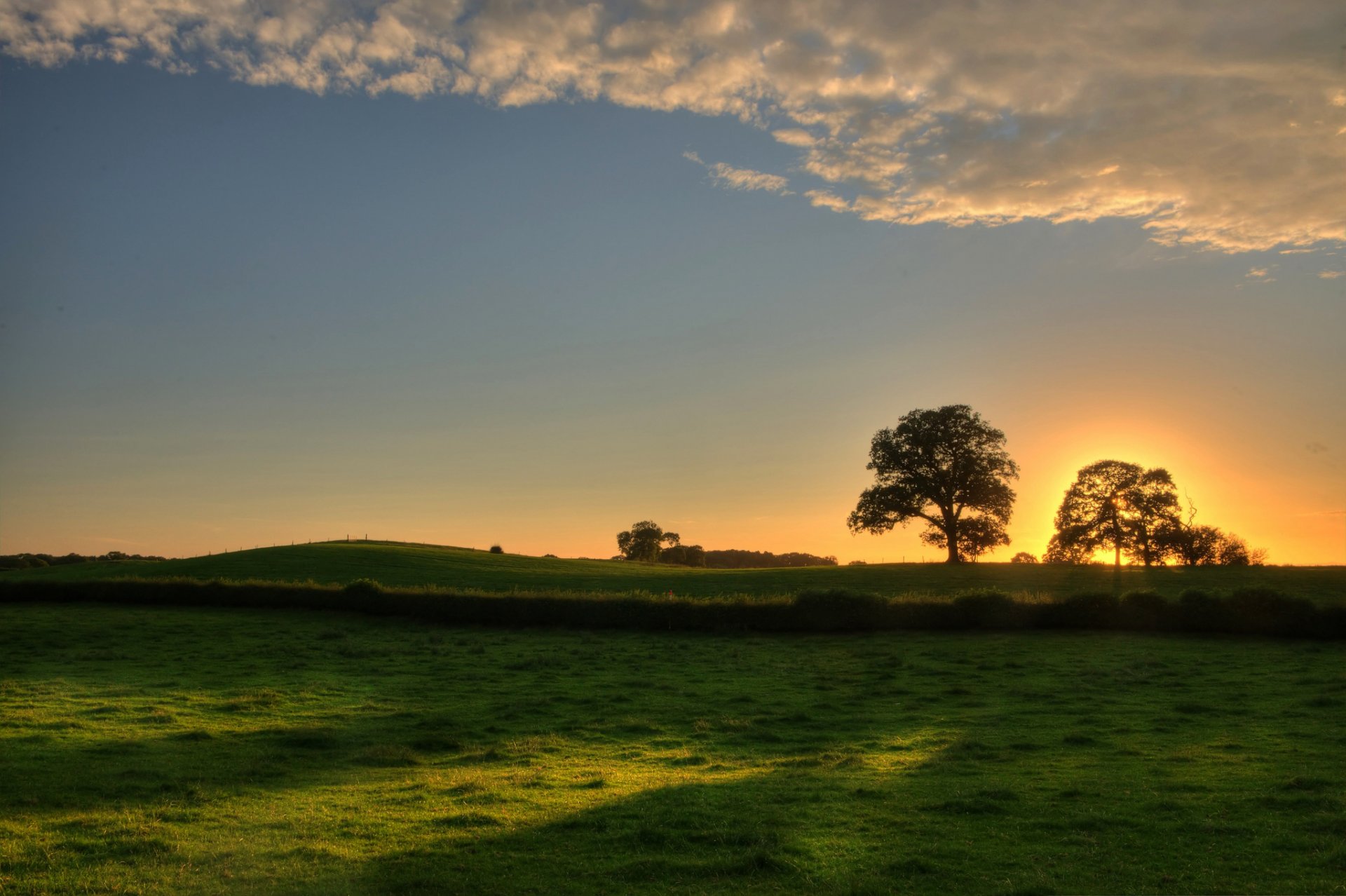 paesaggio natura albero alberi foglie fogliame foglie erba verde prato tramonto sole cielo sfondo carta da parati widescreen schermo intero widescreen widescreen