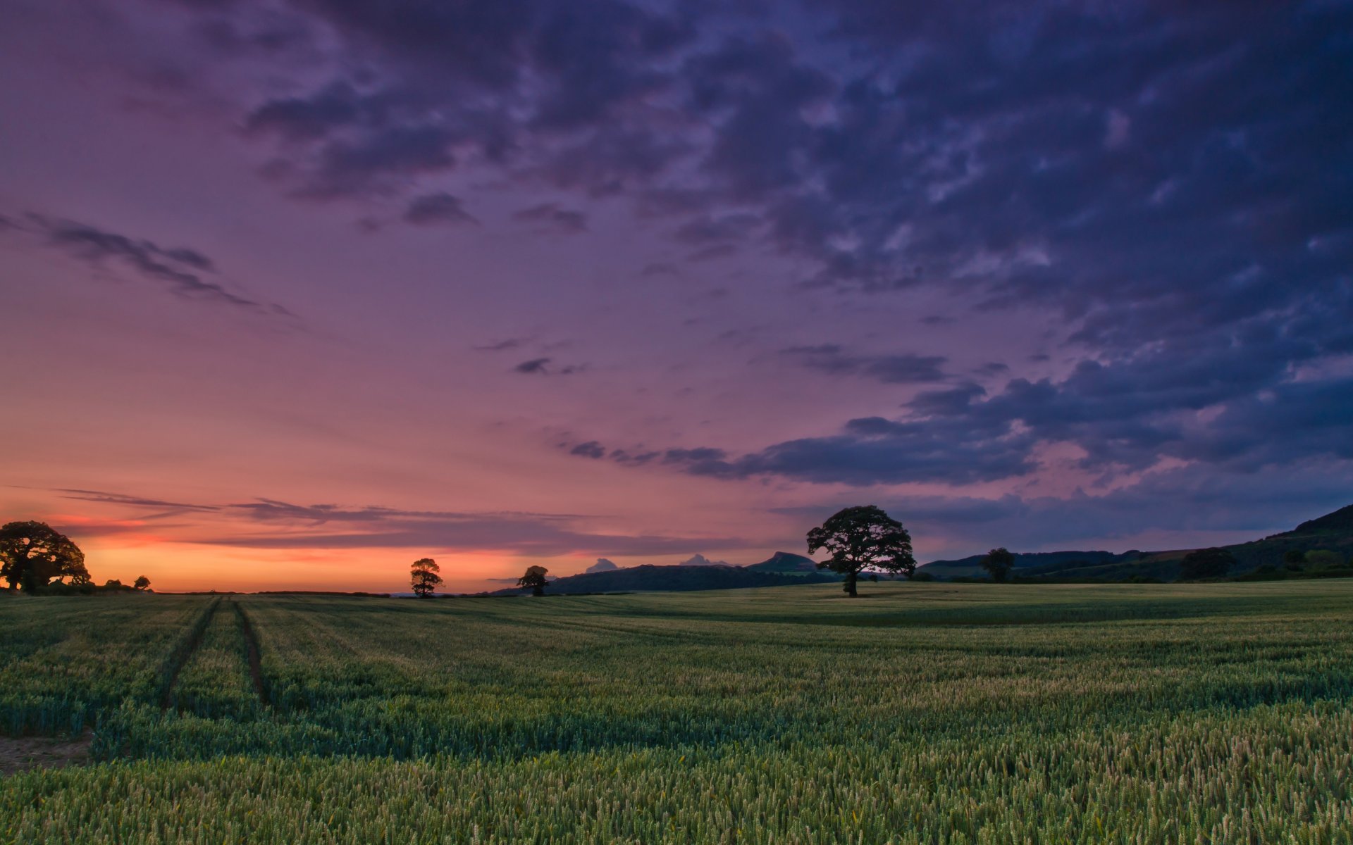 landschaft natur gras grün wiese vegetation baum bäume laub blätter himmel wolken abend hintergrund tapete widescreen vollbild widescreen widescreen