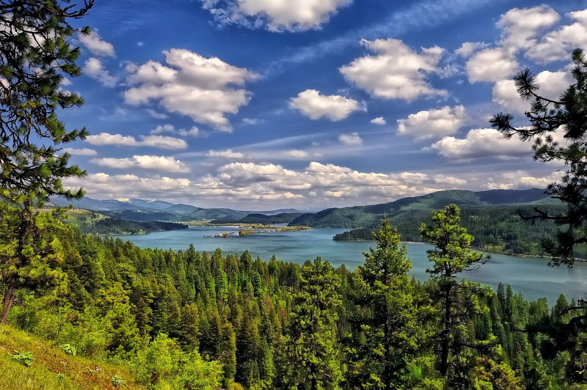 lago coeur d alene lago foresta alberi nuvole