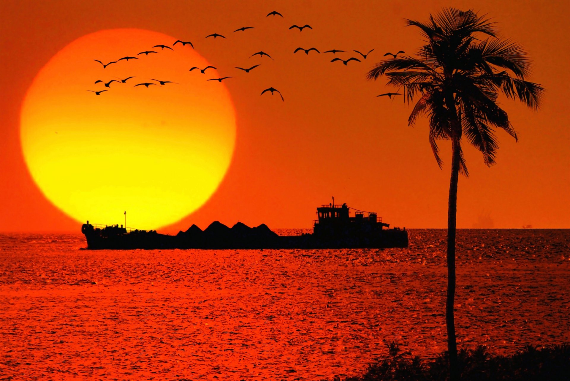 goa sea palma sun ship tanker birds sunset silhouette