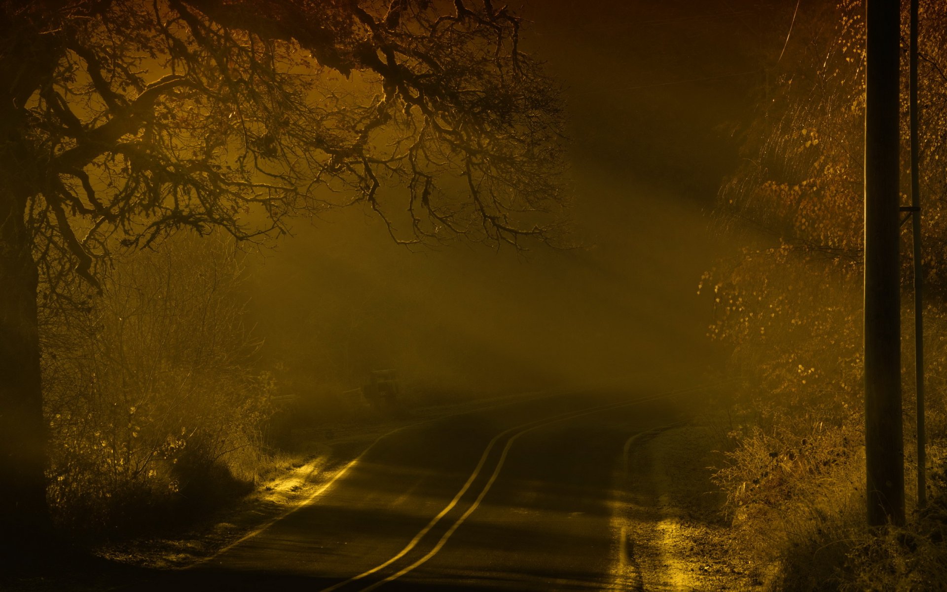 night road landscape