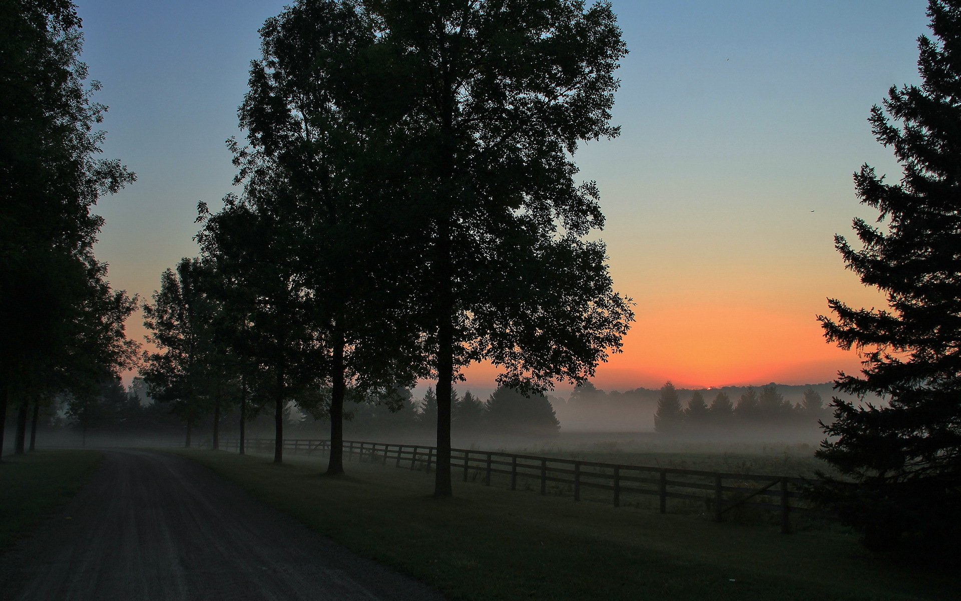 road night landscape