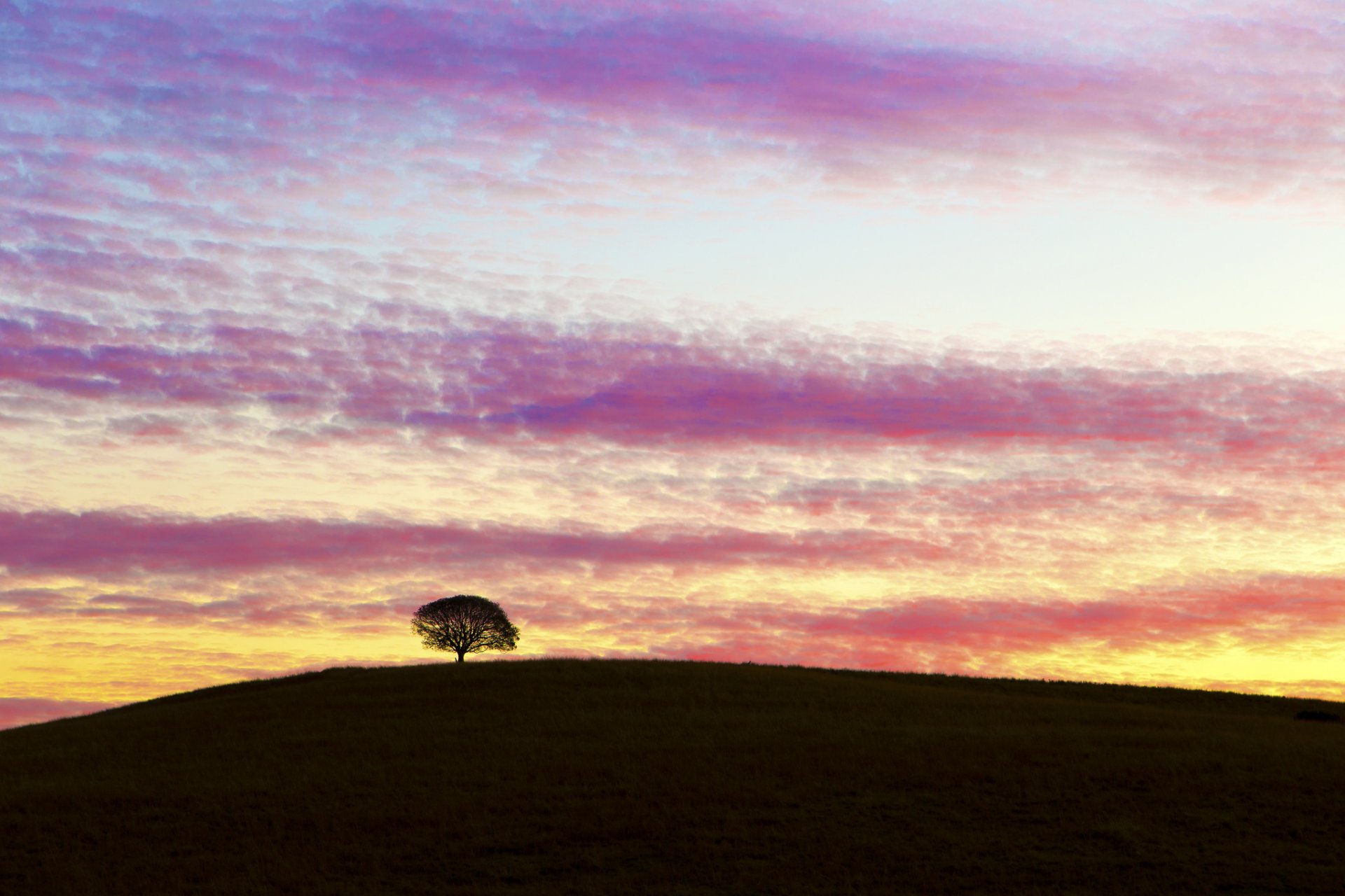 australia hill tree night sunset sky cloud