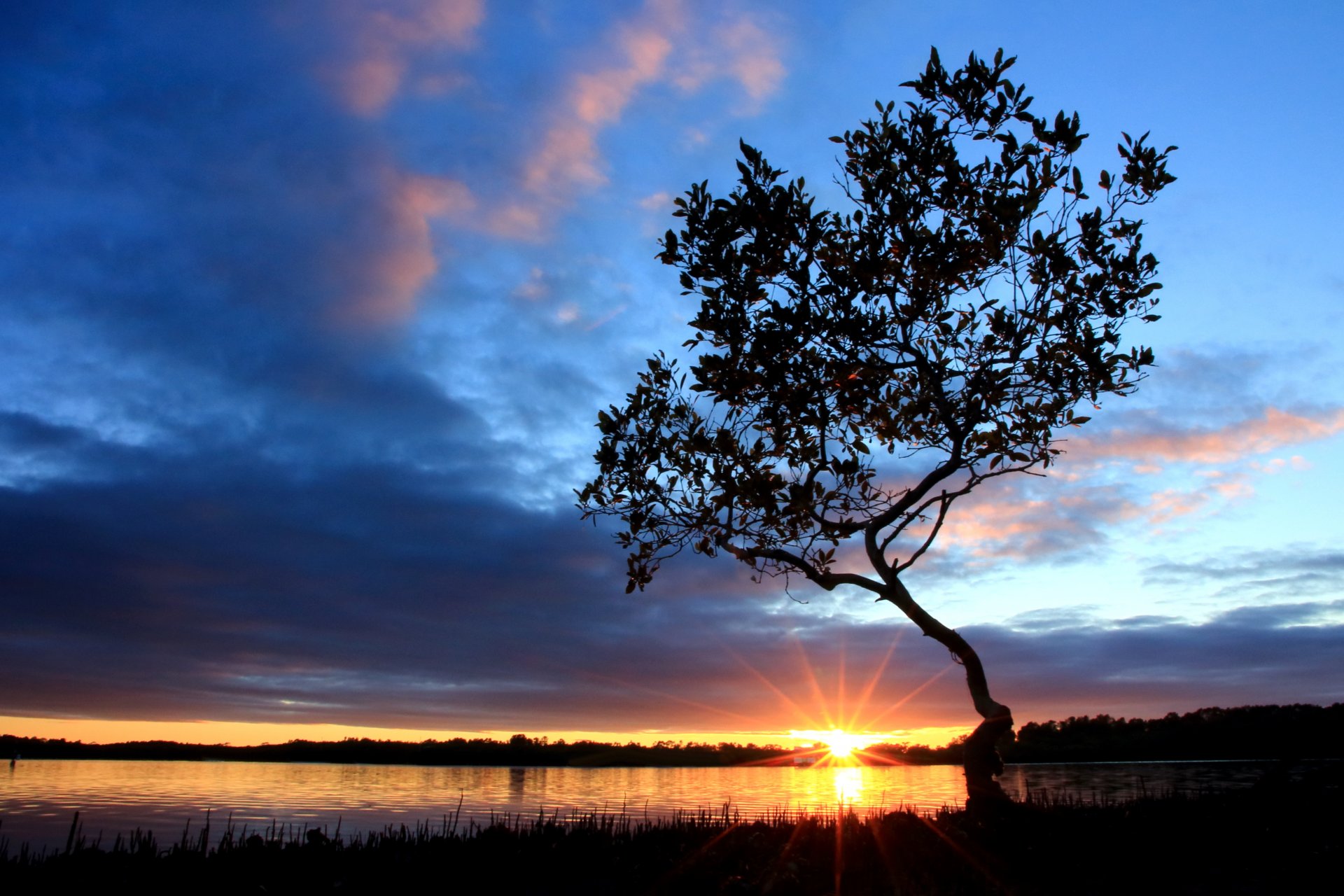 mañana río orilla árbol cielo nubes sol salida del sol rayos