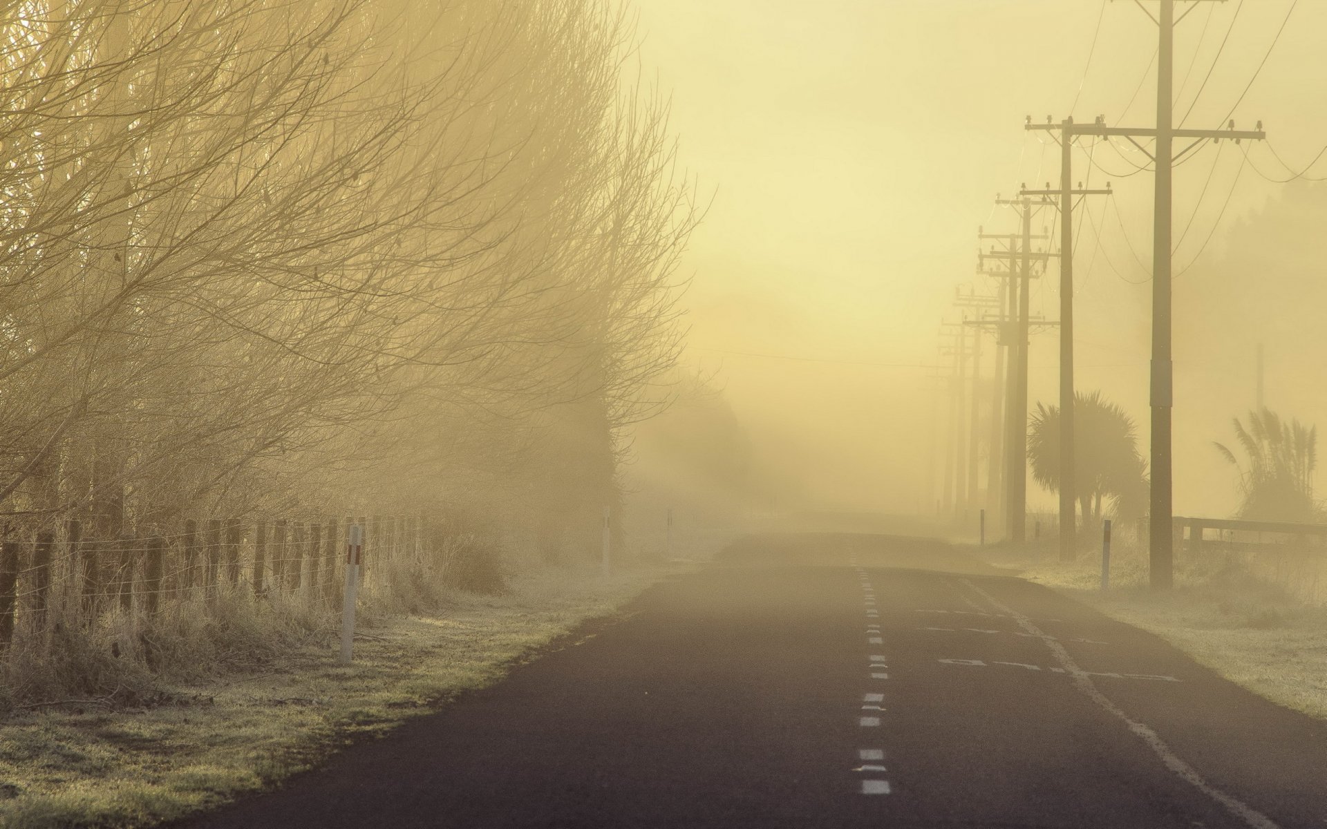 matin route brouillard paysage