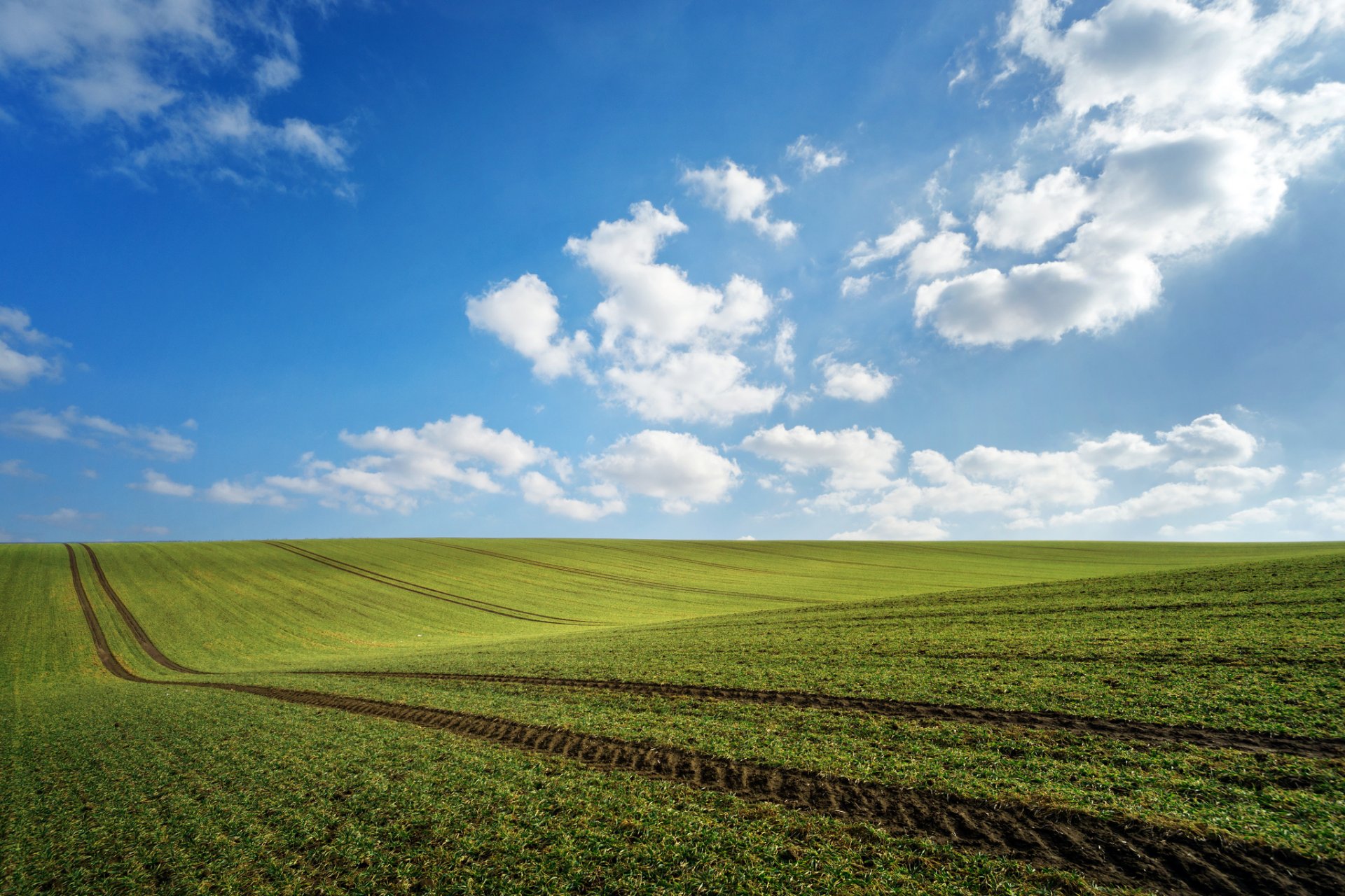 campo vegetación neyo nubes huellas primavera