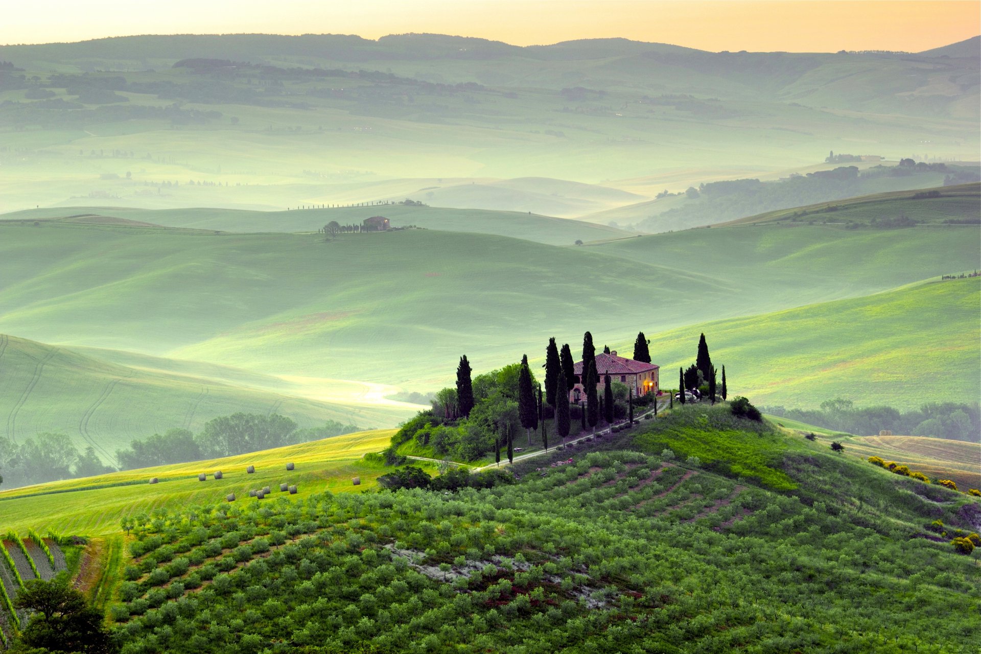 pienza toskania włochy krajobraz natura drzewa zieleń pola wzgórza poranek świt mgła