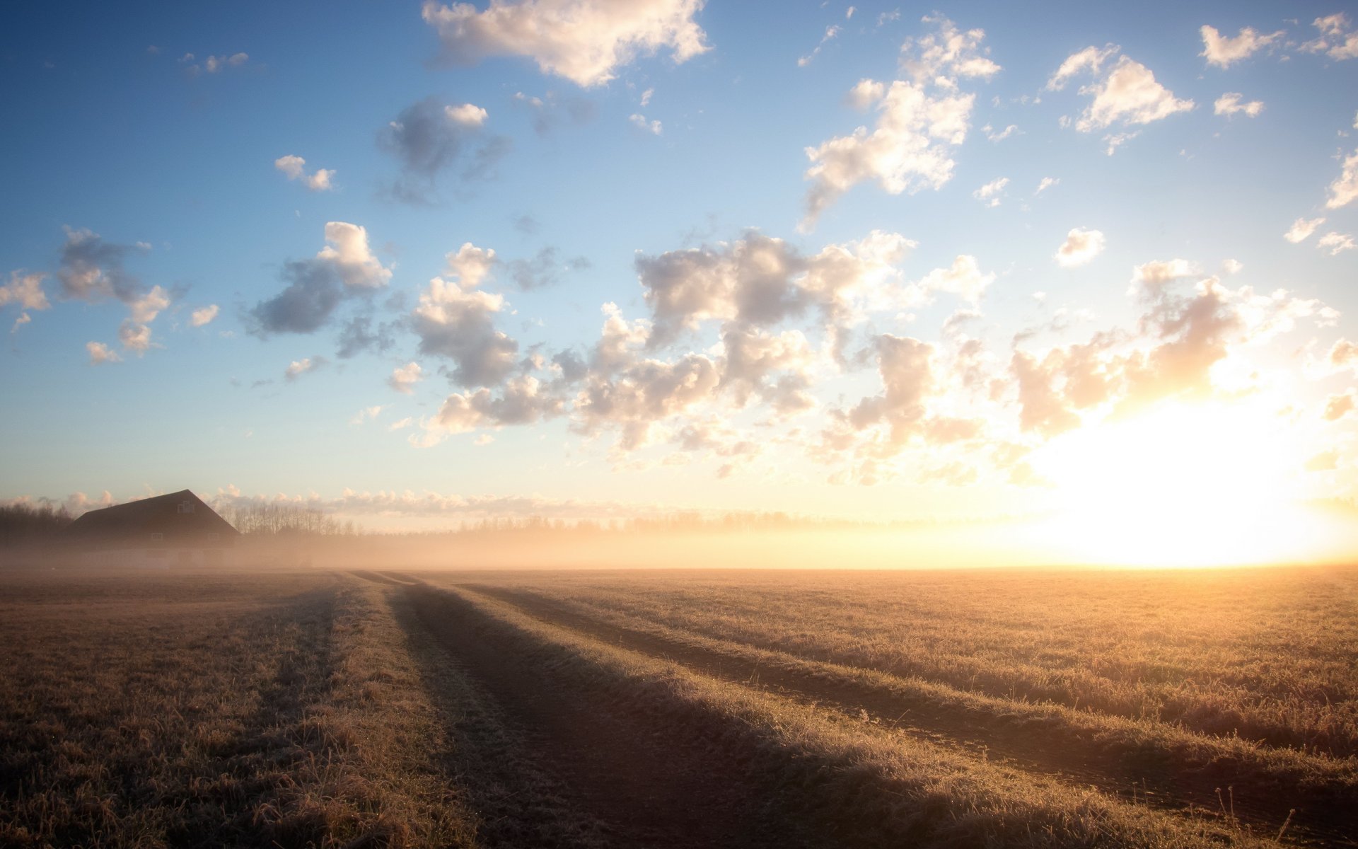 morgen feld landschaft