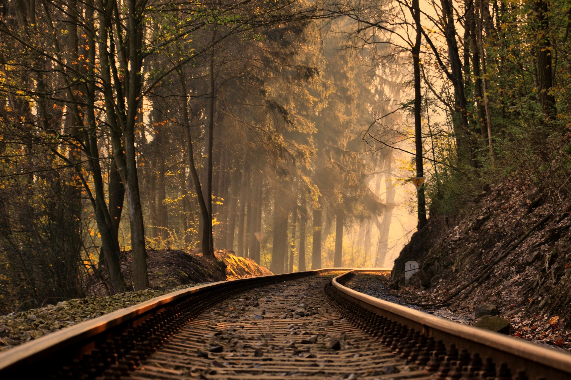 rails arbres paysage nature pente pente