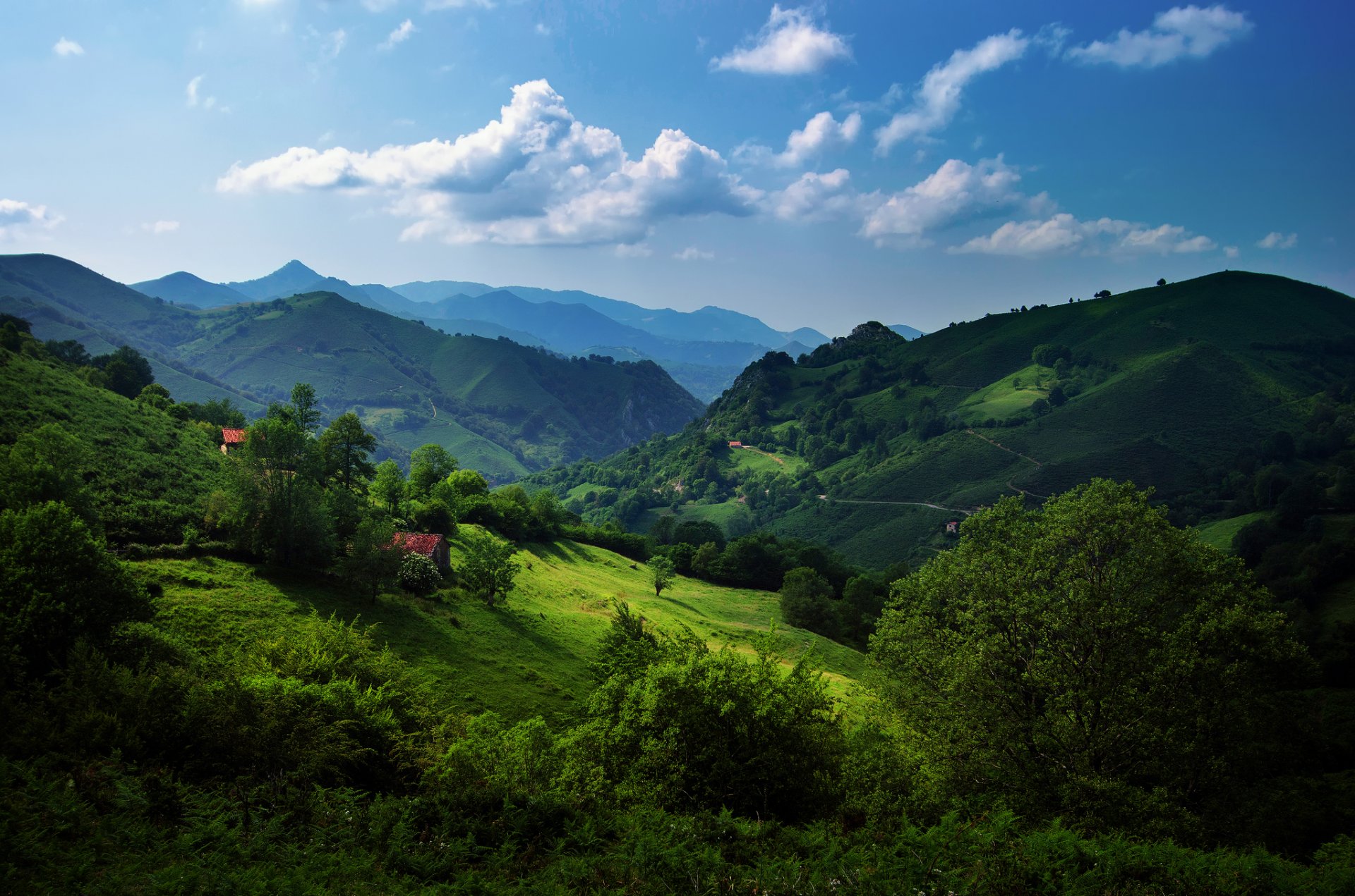 spanien asturien kantabrische berge hügel grün gras bäume sommer himmel wolken