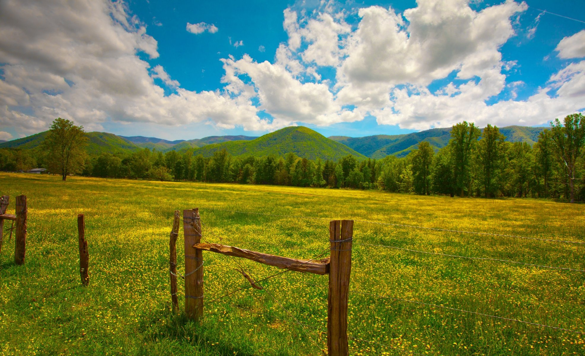 verano vegetación hierba valla postes colinas nubes flores amarillo