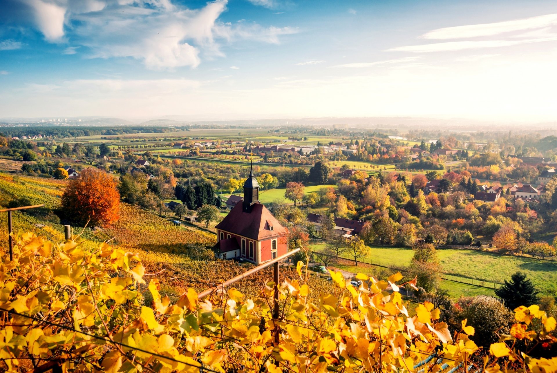 dresden germany city autumn nature landscape sky clouds houses trees leaves yellow panorama