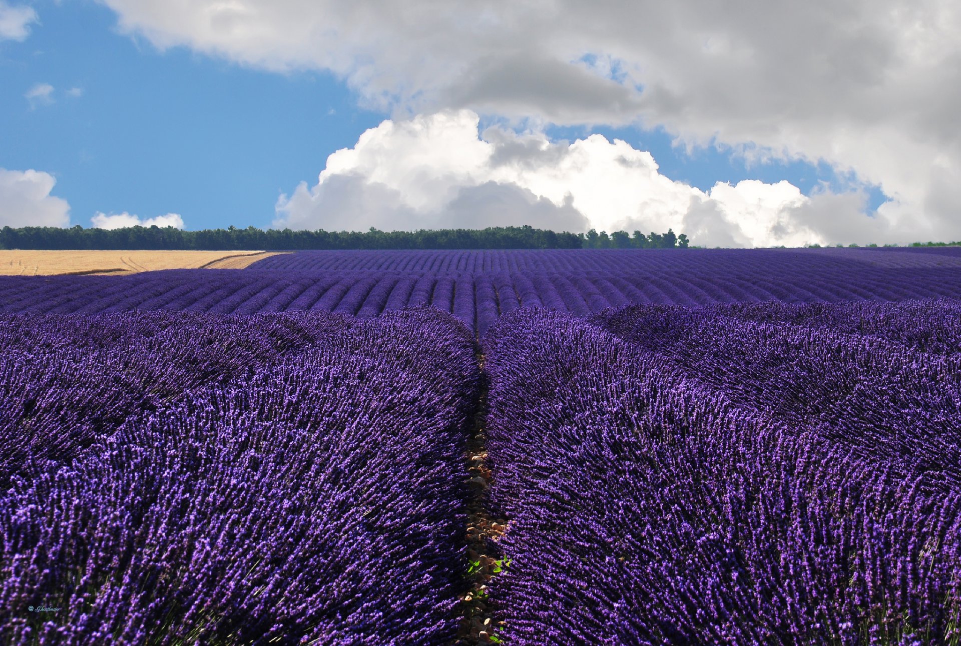 valensol frankreich valensol lavendel feld wolken