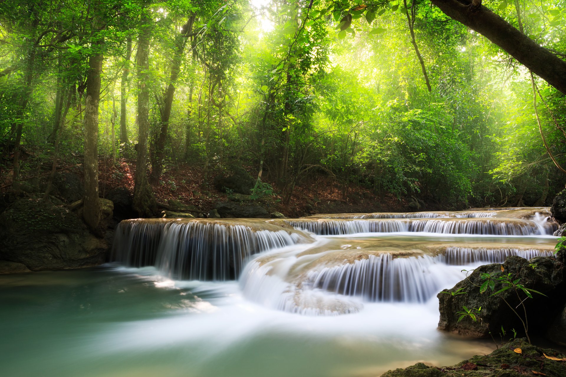 cascata mare lago foresta profonda alberi cielo nuvole paesaggio natura foglie laghi fitte foreste bella