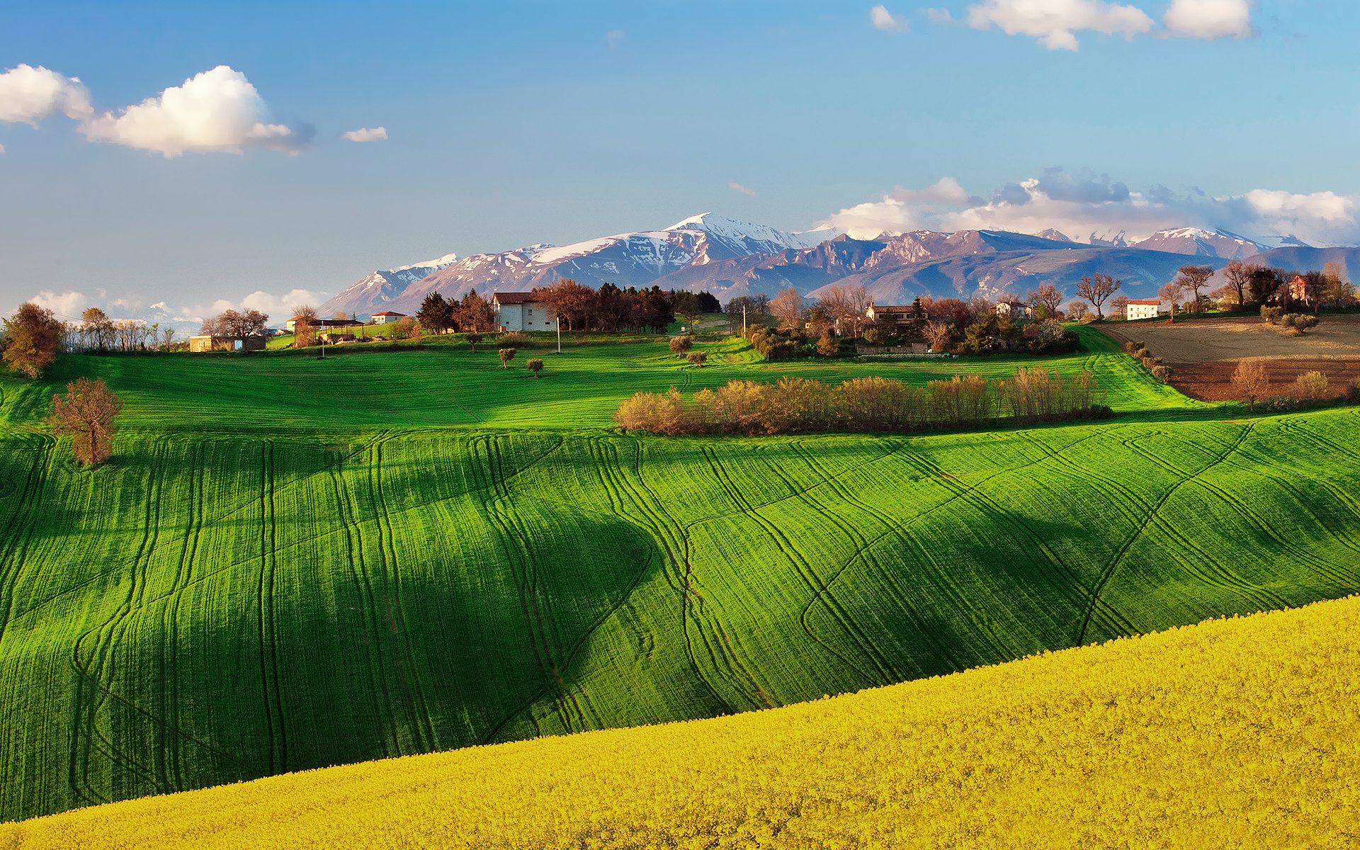 italien felder frühling april raps himmel