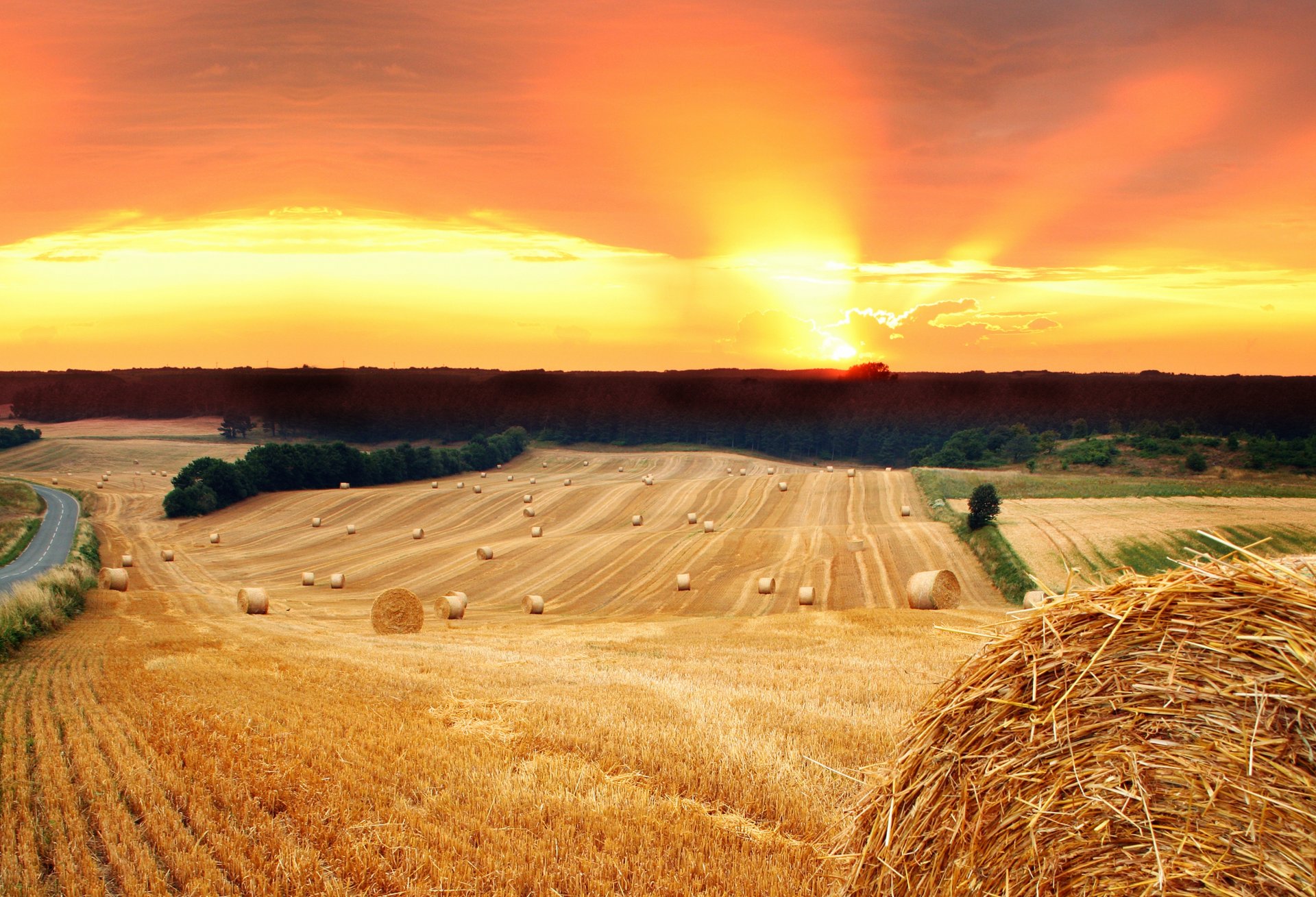 the field sun sunset hay stack straw road tree nature