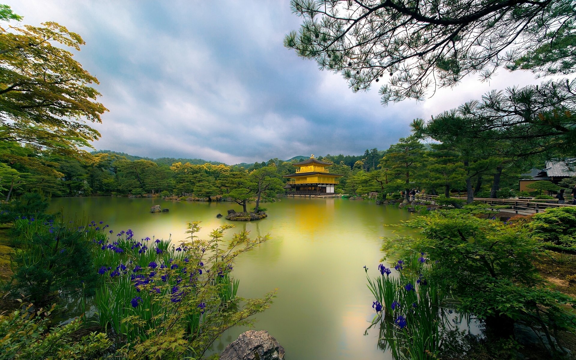 złoty pawilon kyoto japonia świątynia kioto jezioro drzewa kwiaty park