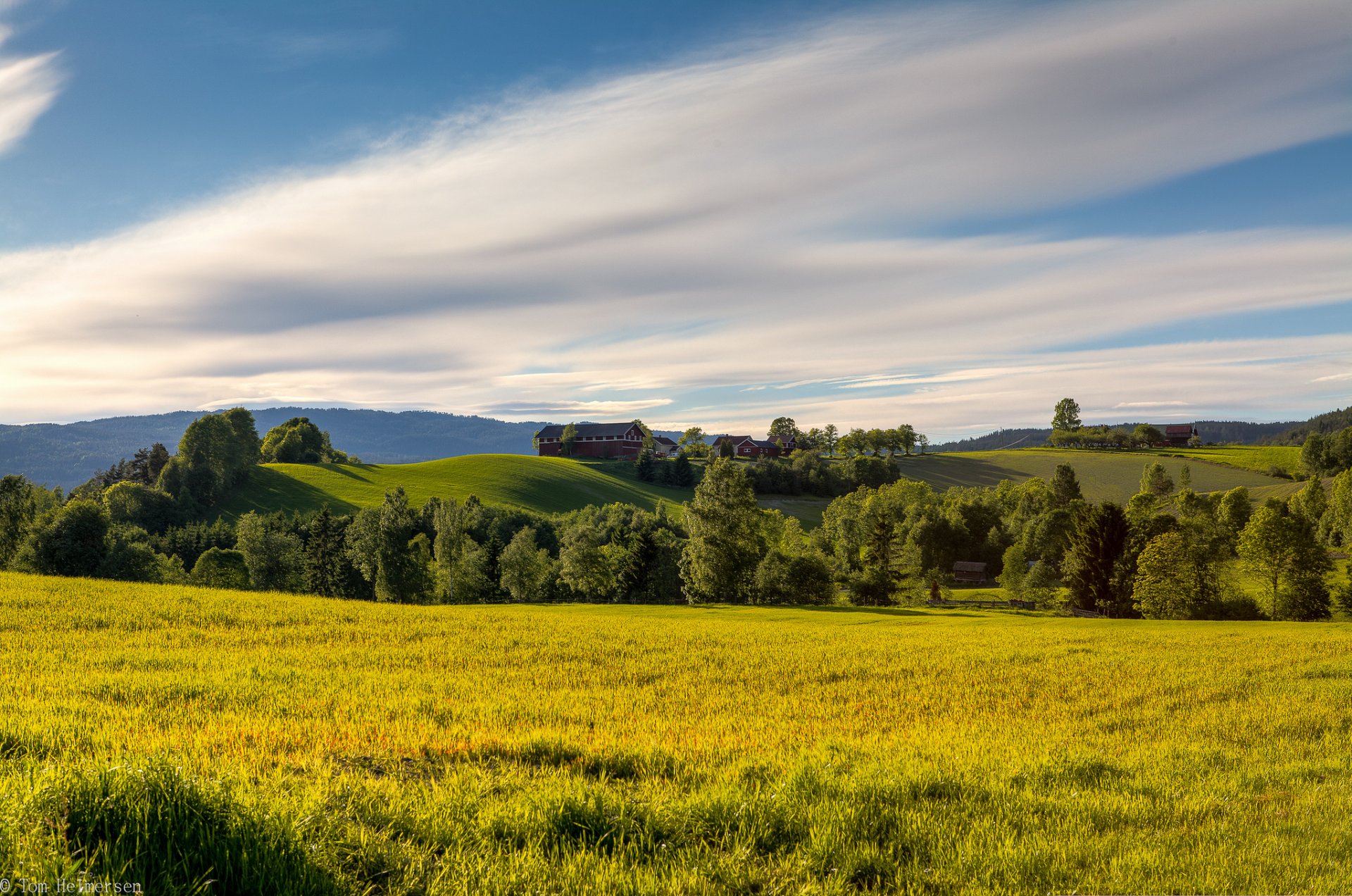 norvegia estate campo radura distese alberi erba colline cielo nuvole natura