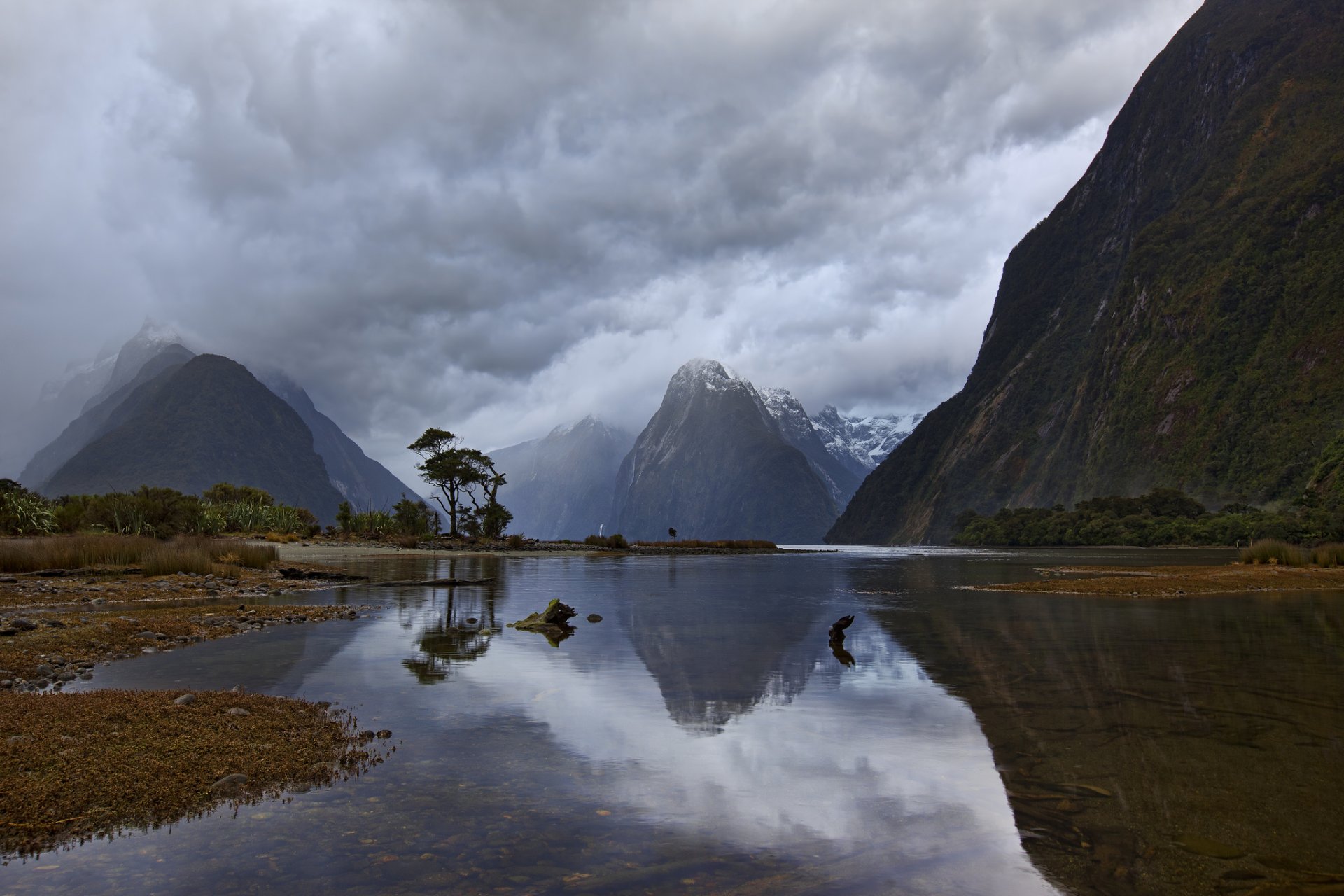 nueva zelanda isla del sur milford sound piopiotachy fiordo montañas mañana cielo nubes